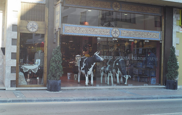 Tienda Cangas de Onís