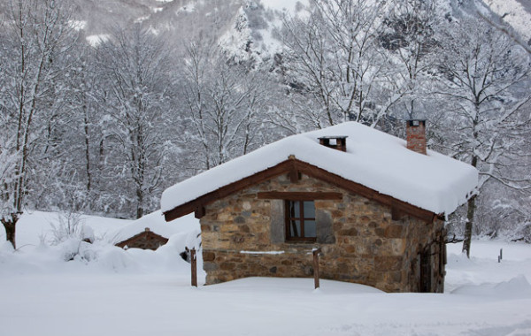 Cabaña en Parque de Redes